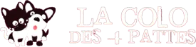 LA COLO DES 4 PATTES