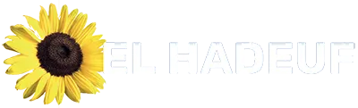 EL-HADEUF ENERGIES