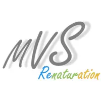 MVS RENATURATION