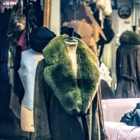 SOCIETE NOUVELLE LA PELISSE