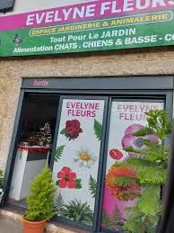 S.A.S.U EVELYNE FLEURS