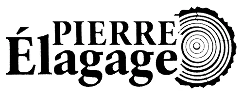 PIERRE ELAGAGE