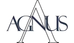 AGNUS & ASSOCIES