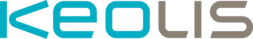 KEOLIS CONTROLE ET HUMANISATION