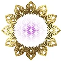 ECOLIEN CONNECT