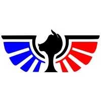 FLYING PIGS SOLUTIONS