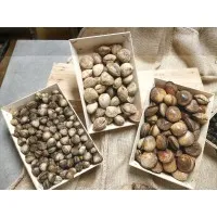 LES VIVIERS DE LA RANCE (SAS)