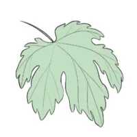 LES BONS ENTREPRENEURS