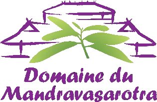 DDM DISTRIBUTION