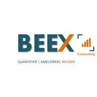 BEEX CONSULTING