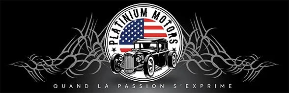 PLATINIUM MOTORS
