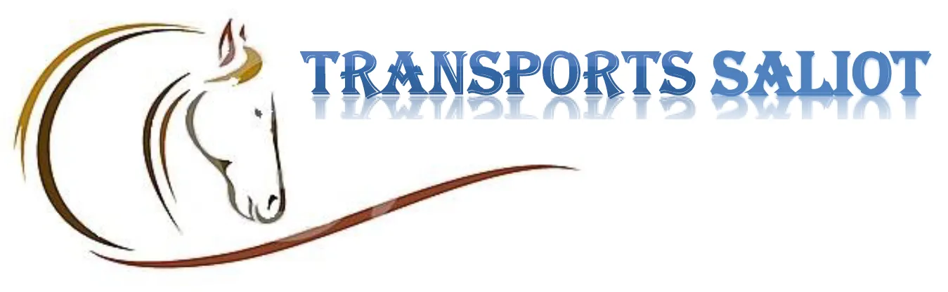 TRANSPORTS SALIOT