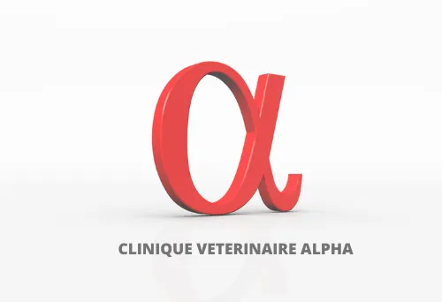SOCIETE DES DOCTEURS ALEXANDRA ET PIERRE COUTURE