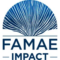 FAMAE IMPACT