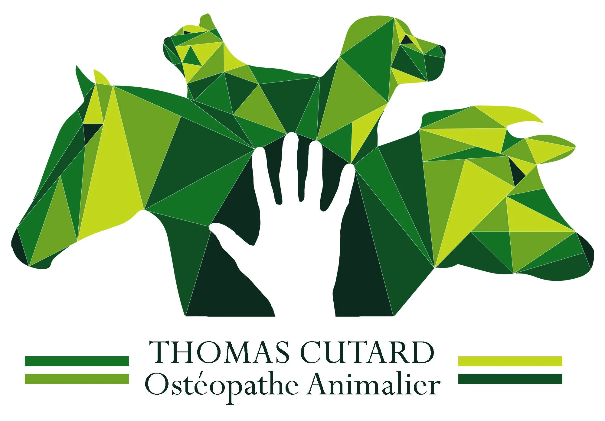 CUTARD THOMAS