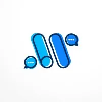 MS IT CONSEIL