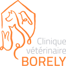 VETBORELY