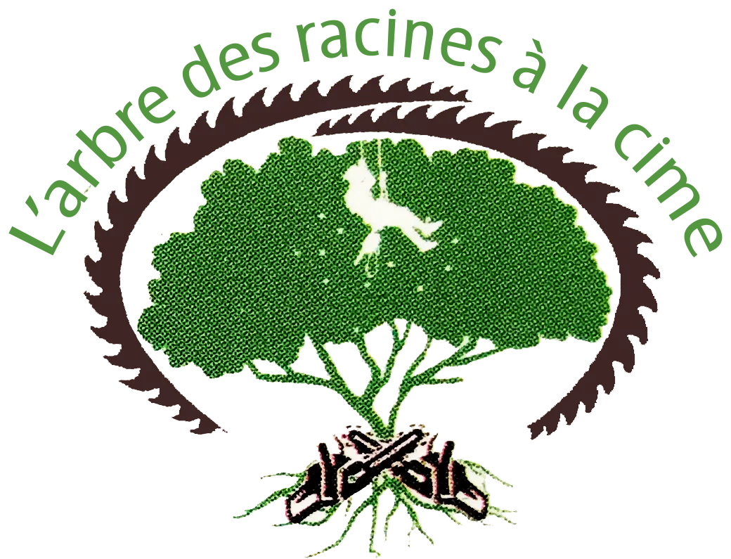L'ARBRE : DES RACINES A LA CIME
