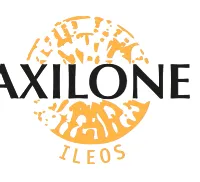 AXILONE PLASTIQUE