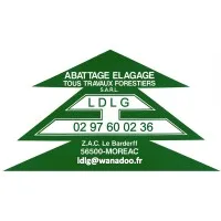 LDLG