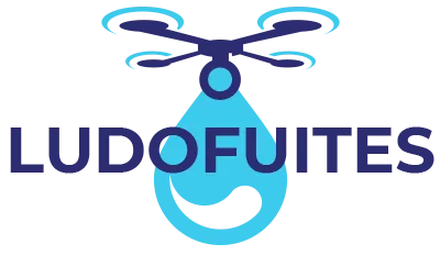 SAS LUDOFUITES