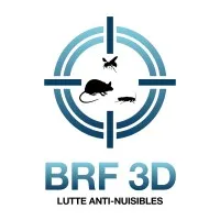 BRF 3D
