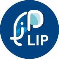 LES INTERIMAIRES PROFESSIONNELS - LIP