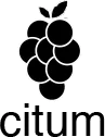 CITUM