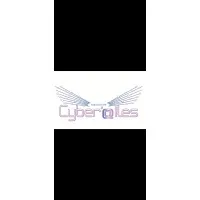 CYBER'AILES