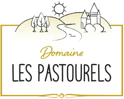 NOUVELLE VIE