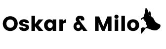 MV AGENCY
