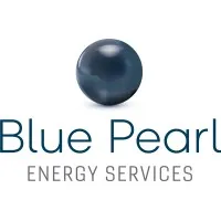 BLUE PEARL ENERGY FRANCE