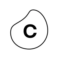 CELONIS SAS