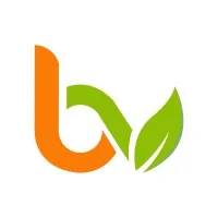 BRIC A VRAC