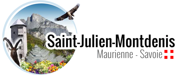 COMITE DES FETES DE SAINT JULIEN MONTDENIS