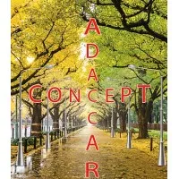 ADACCAR CONCEPT