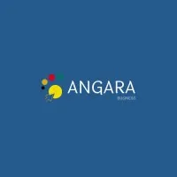 ANGARA BUSINESS