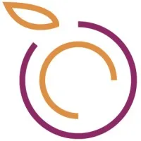 BLUEBERRY DIGITAL SERVICES