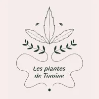 LES PLANTES DE TOMINE