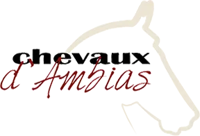 VAL D'AMBIAS