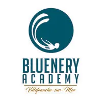 BLUENERY ACADEMY VSM