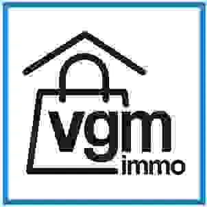 VGM IMMO (VGM HOLDING)