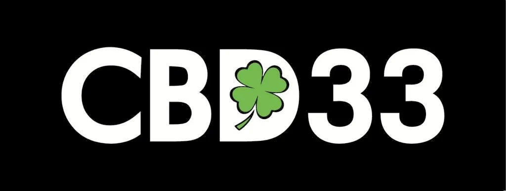 SAM 33