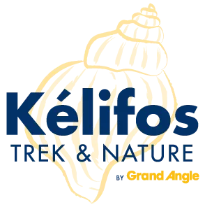 KELIFOS