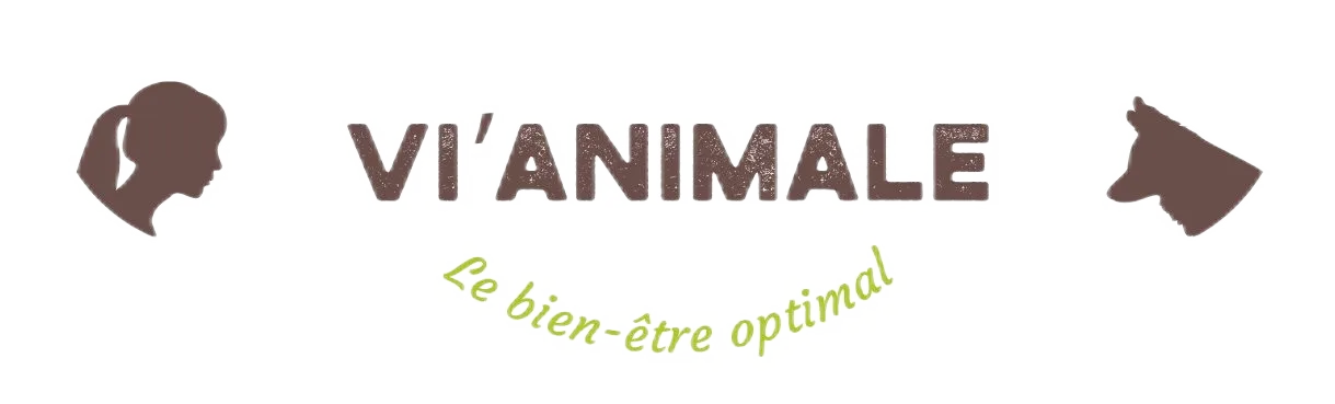 VI'ANIMALE (V.A.)