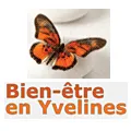 LA TRAVERSEINE DES THERAPIES BREVES