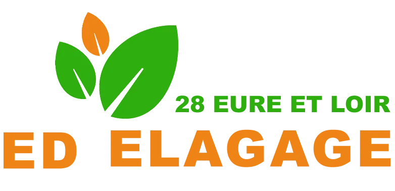 ED ELAGAGE