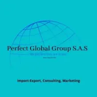 PERFECT GLOBAL GROUP