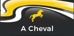 A CHEVAL AND CO