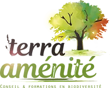 TERRA AMENITE